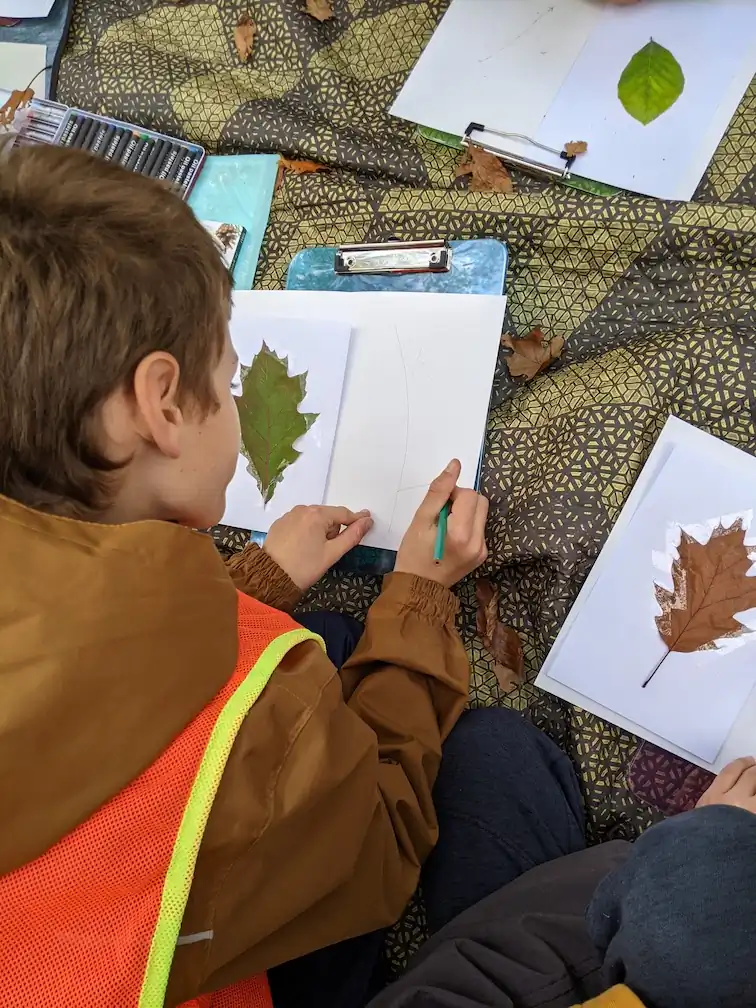 Activités scientifiques
